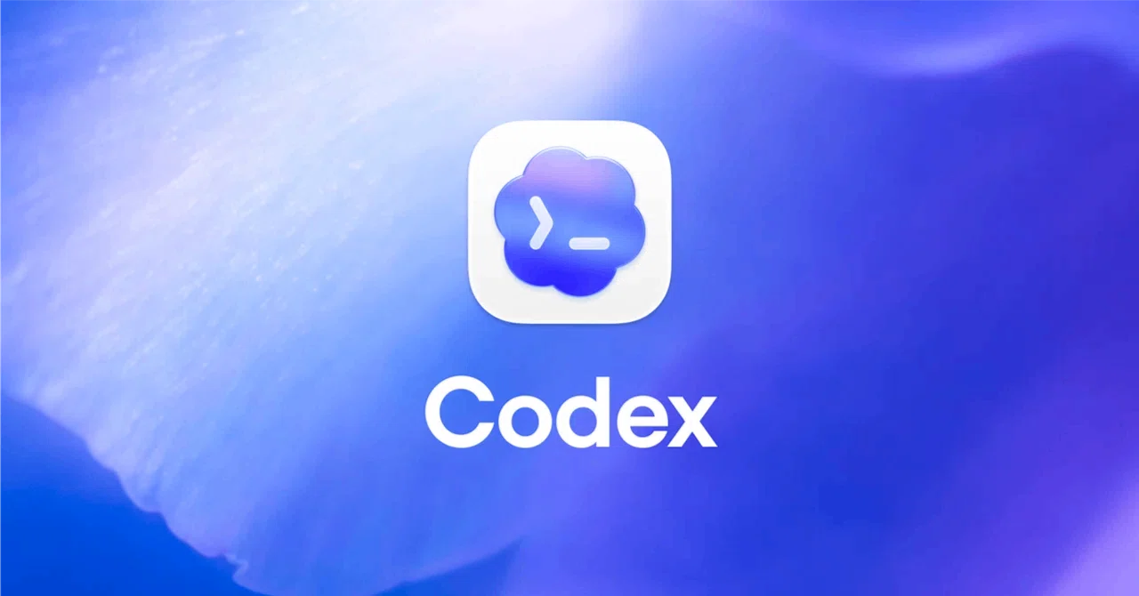 Codex CLI 示意图